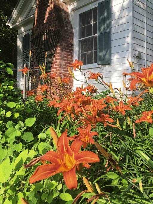 Something is always in bloom all summer long
