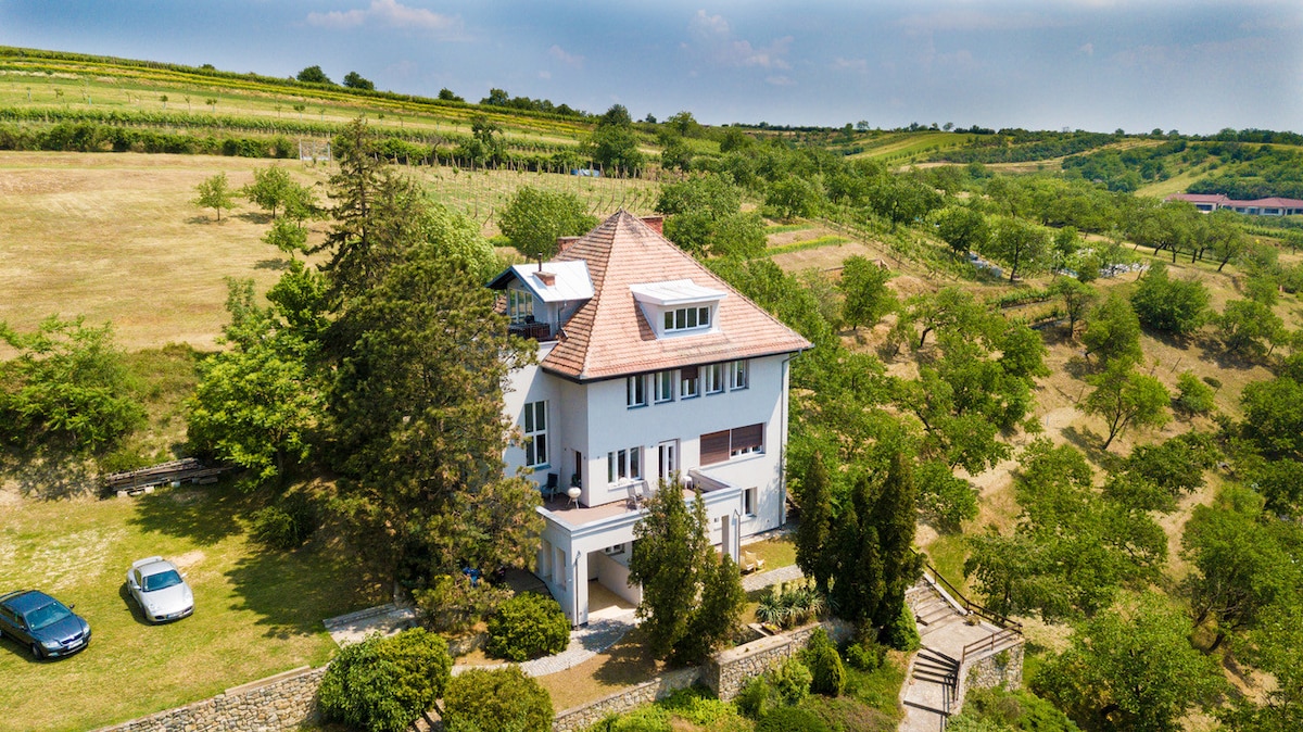 A spacious villa is set against a backdrop of rolling hills and lush greenery. The exterior features a pointed roof and multiple balconies, while a landscaped garden surrounds the building. A driveway leads to parking areas, enhancing accessibility in the serene countryside setting.