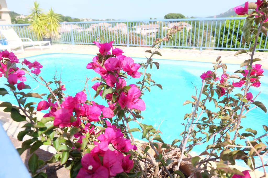 Private heated pool overlooking village and ocean.