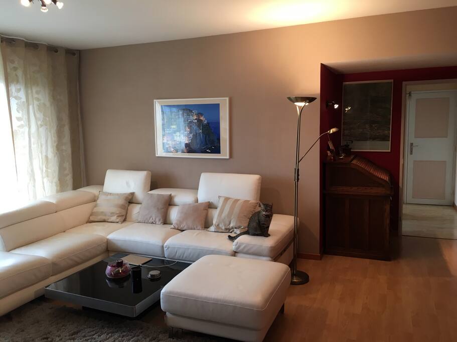 Beautiful leather sofa/ very big :)
