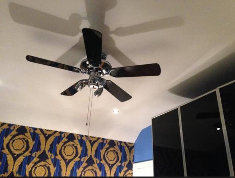 Ceiling fan in bedroom