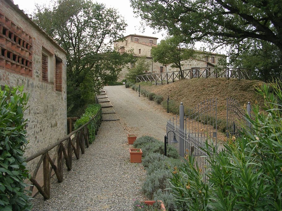 Viale d'accesso al Fortilizio di Campiglia