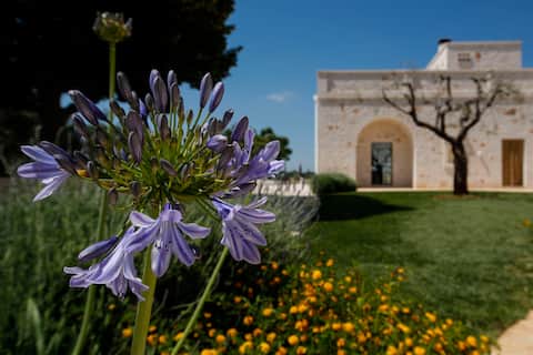 Top Airbnb: Villa di Mezza a Cisternino