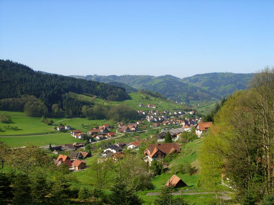 The village of Seebach