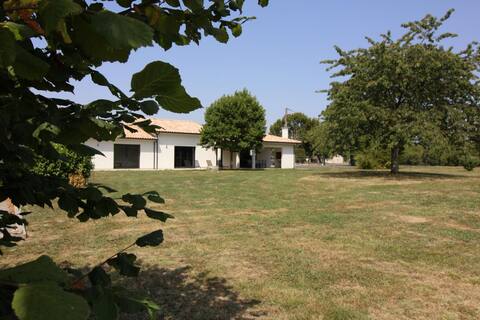 "Basmatho" cottage with vineyards view