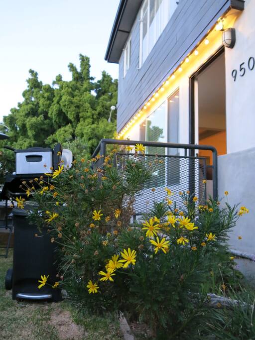 Flowers, BBQ, Cozy lightning