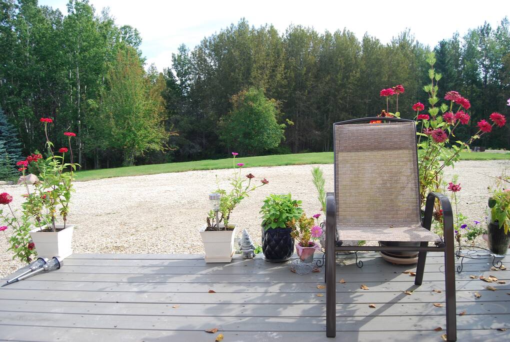 View from the front deck.