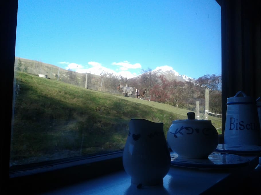 View from kitchen