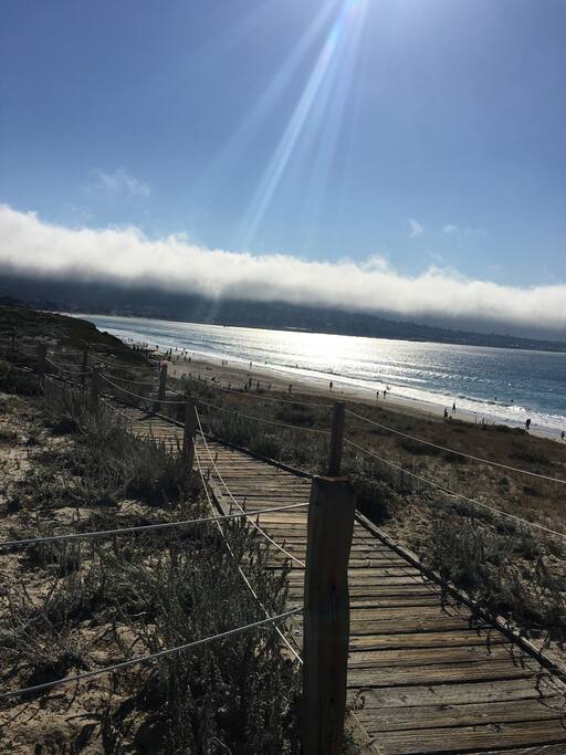 Scenic walking path overlooking beach. Less than 100 steps from condo.