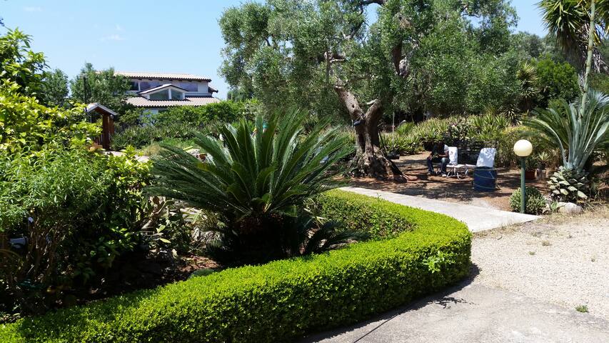 Villa LE RADICI and JACUZZI gallery image 2