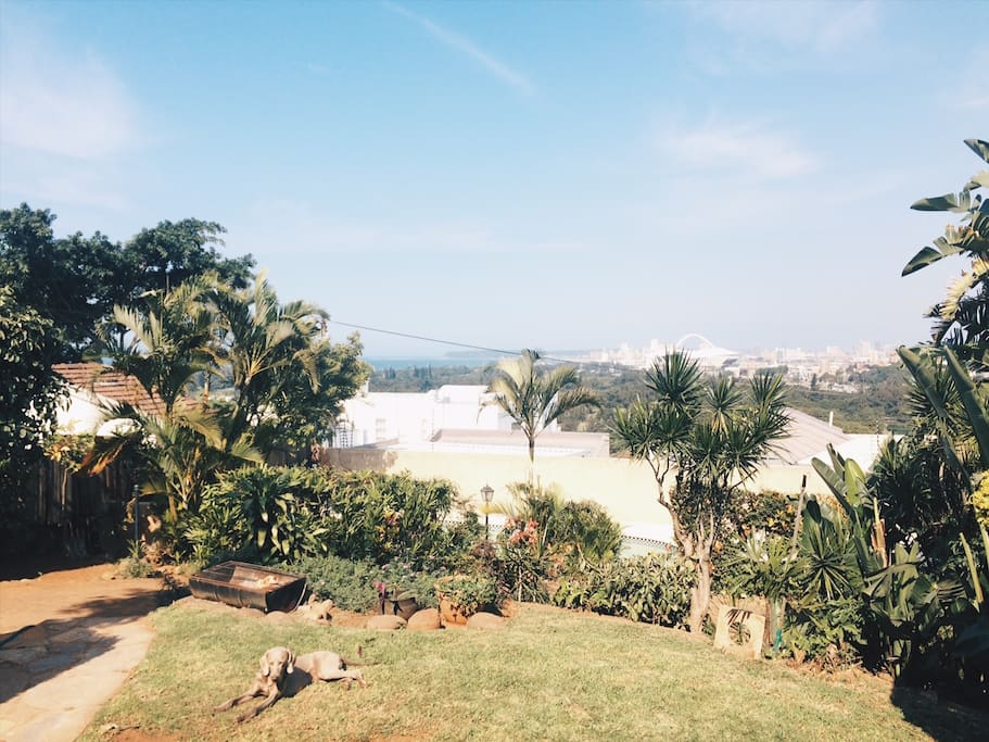 view and garden + Rafiki