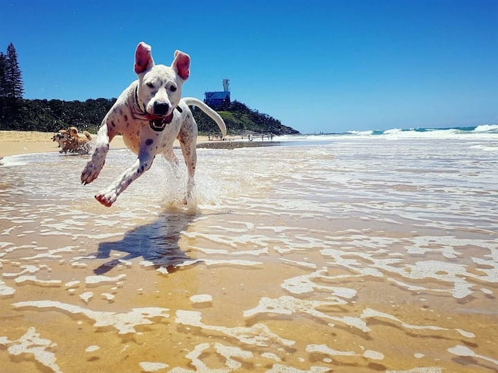 Coolangatta Holiday Rentals & Homes Queensland, Australia Airbnb