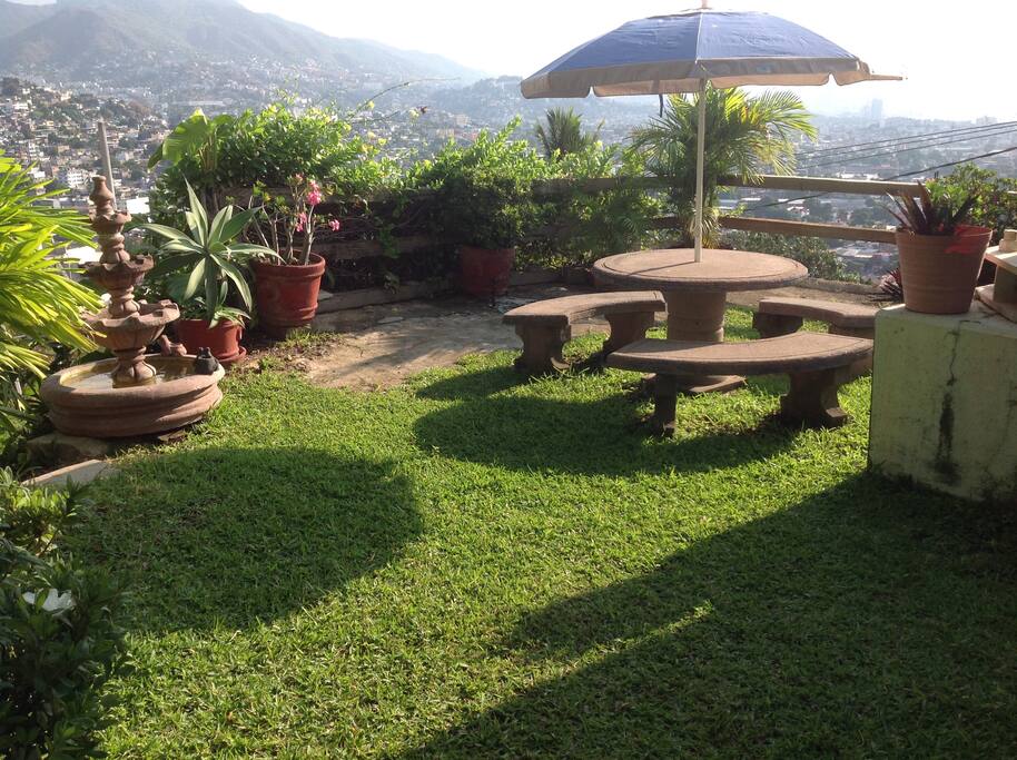 The garden