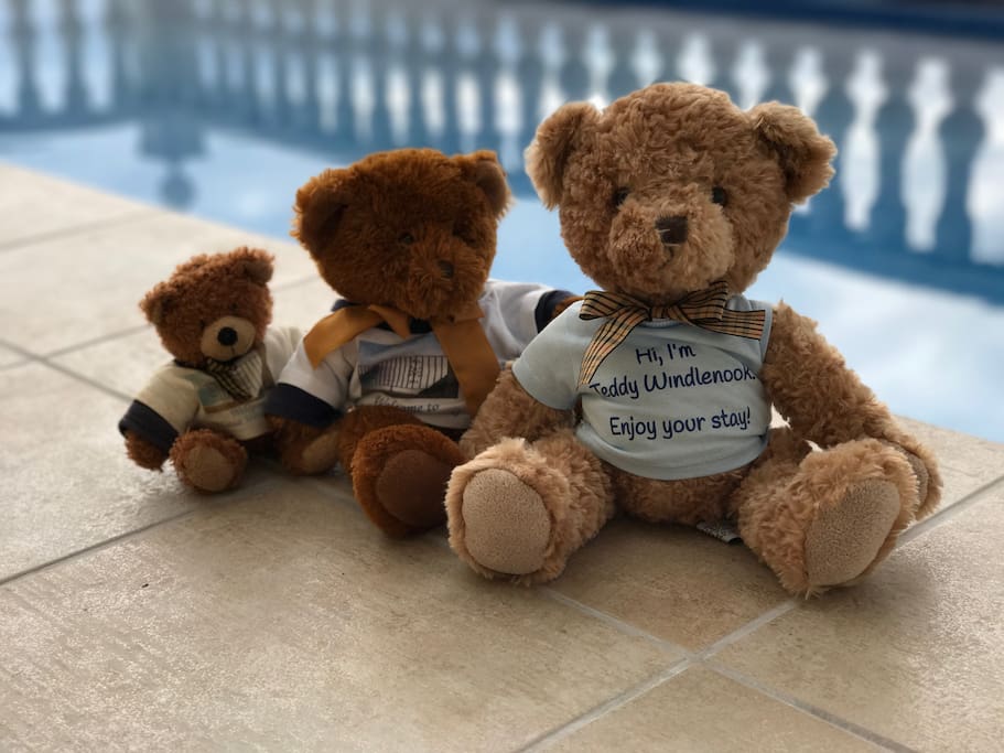 Teddies love a holiday too