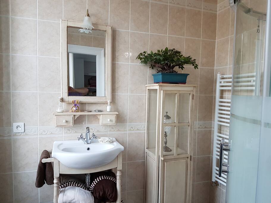Salle d'eau CHAMBRE 1