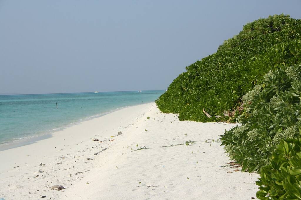 Beach - #HanimaadhooIslandMaldives
