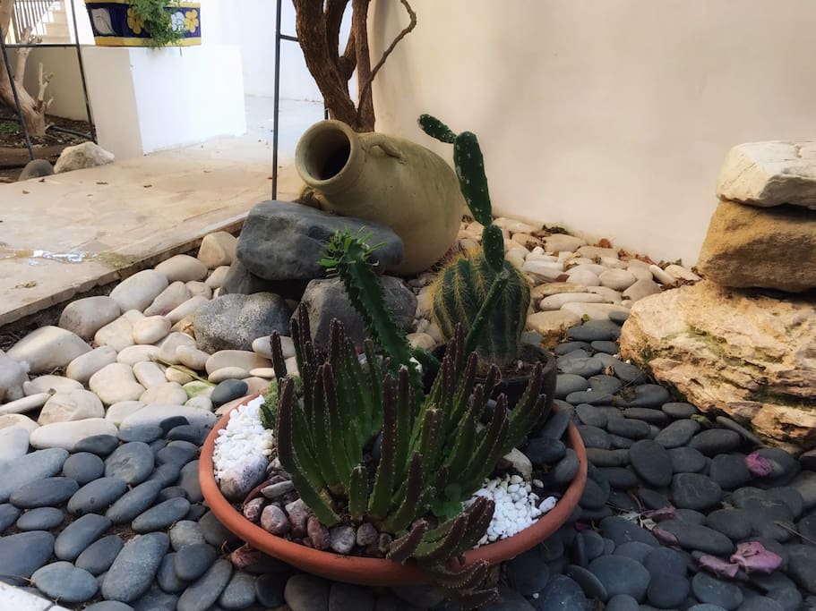 Garden area