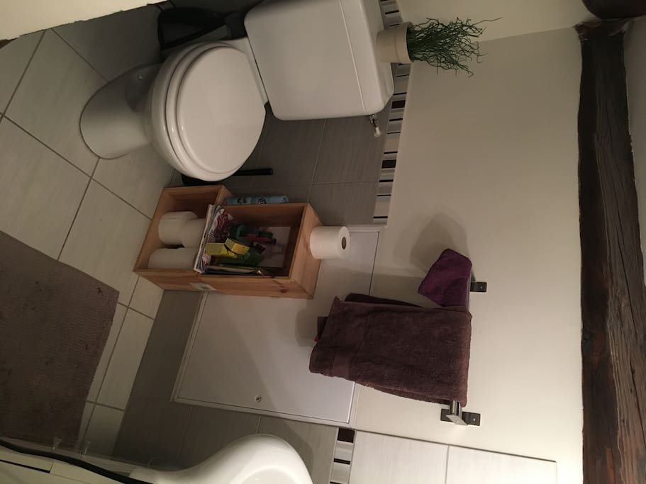 Salle de bain / toilette