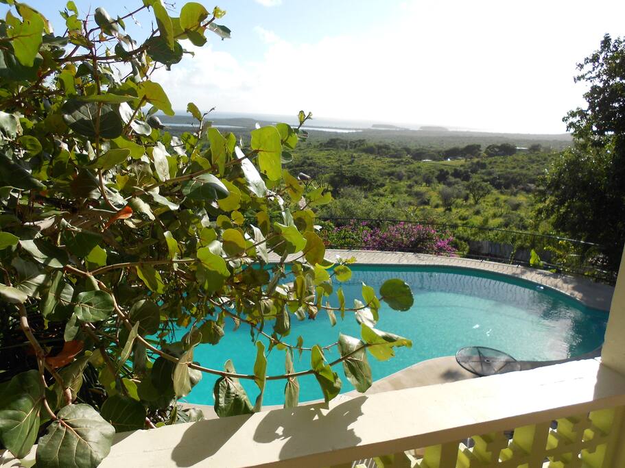 pool view from porch