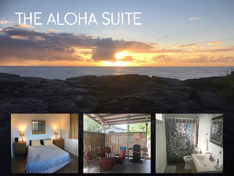 The Aloha Suite  (Walk to Ocean-Gated Parking-AC)