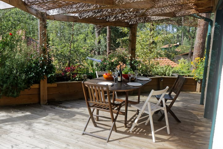 Villa Sous Les Pins De Moliets - Messanges