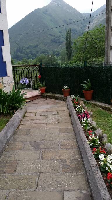 Jardín