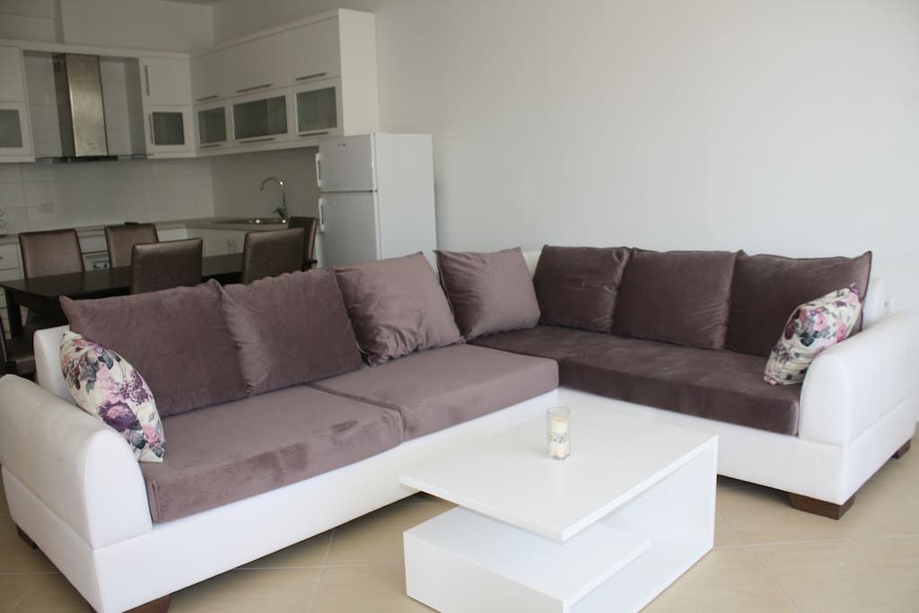 nice sofa with cofee table