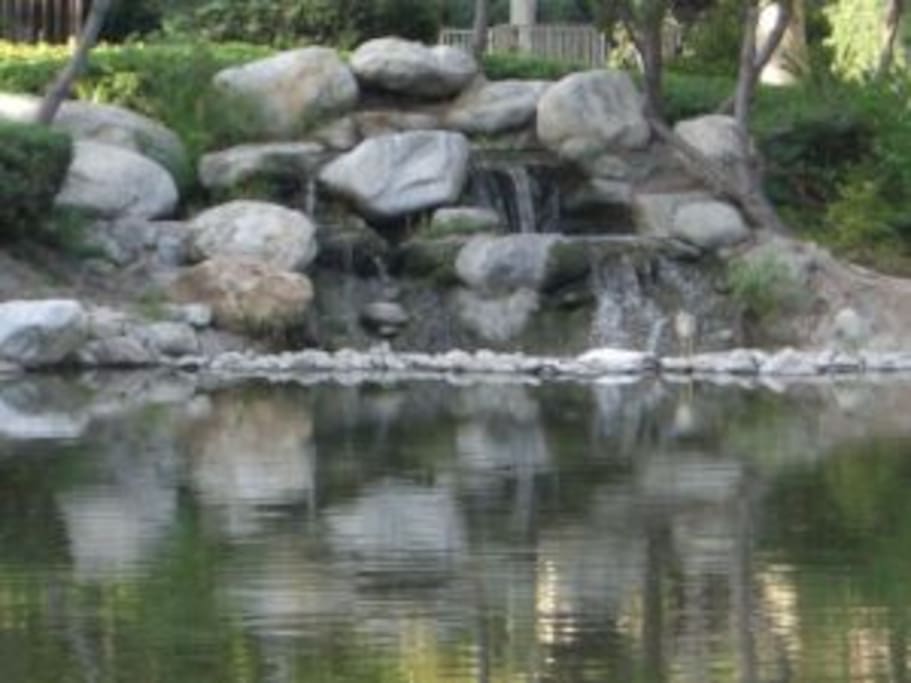 Townhouse sits on beautiful pond with wildlife.