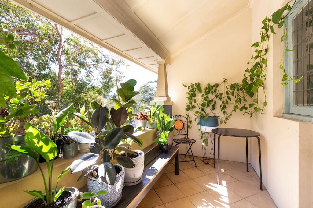 Morning coffees come with a tree top view where you can bask in the dappled sunlight