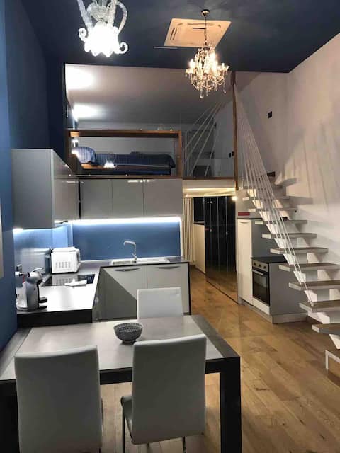 Lofty- elegant double level in città studi