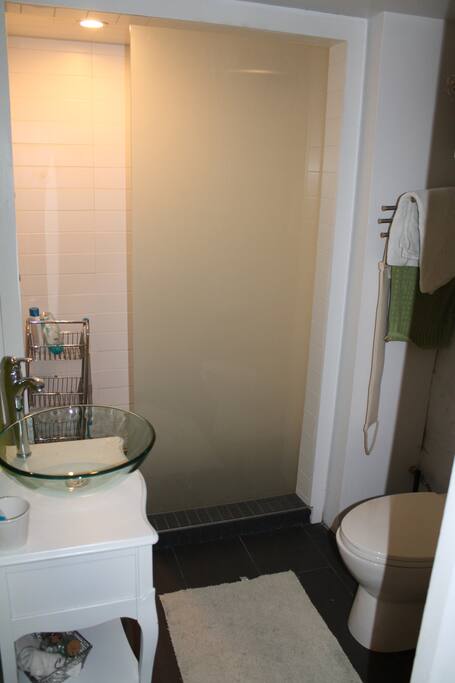 Bathroom shower and WC