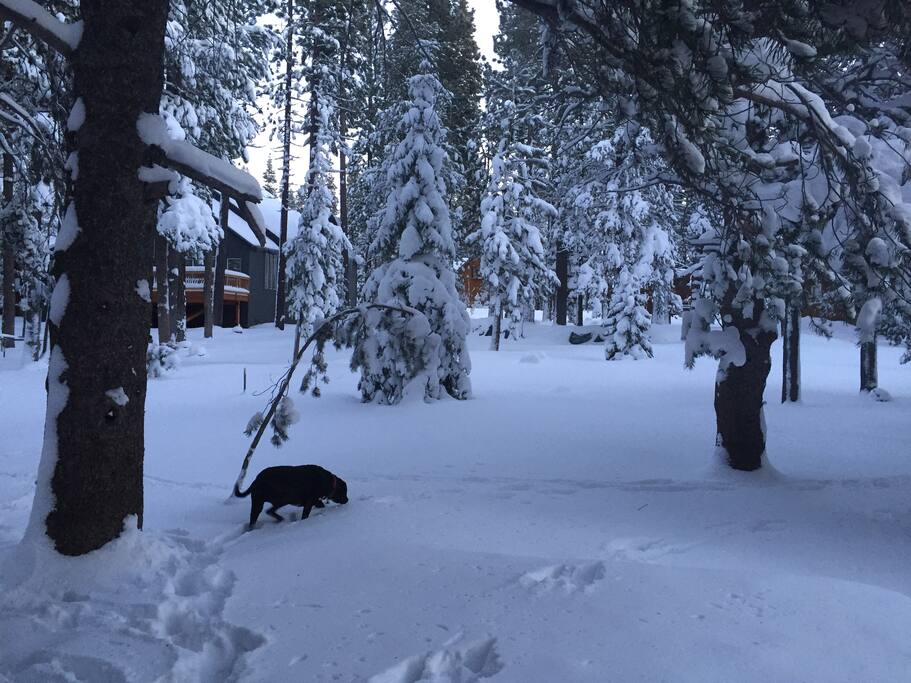 Outside the back door, winter