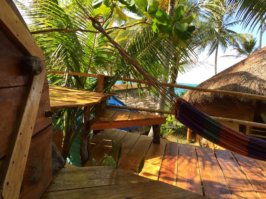 From the tree house to the sea
