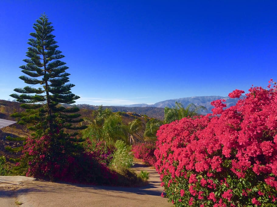Beautiful views around the Rancho del Sol.