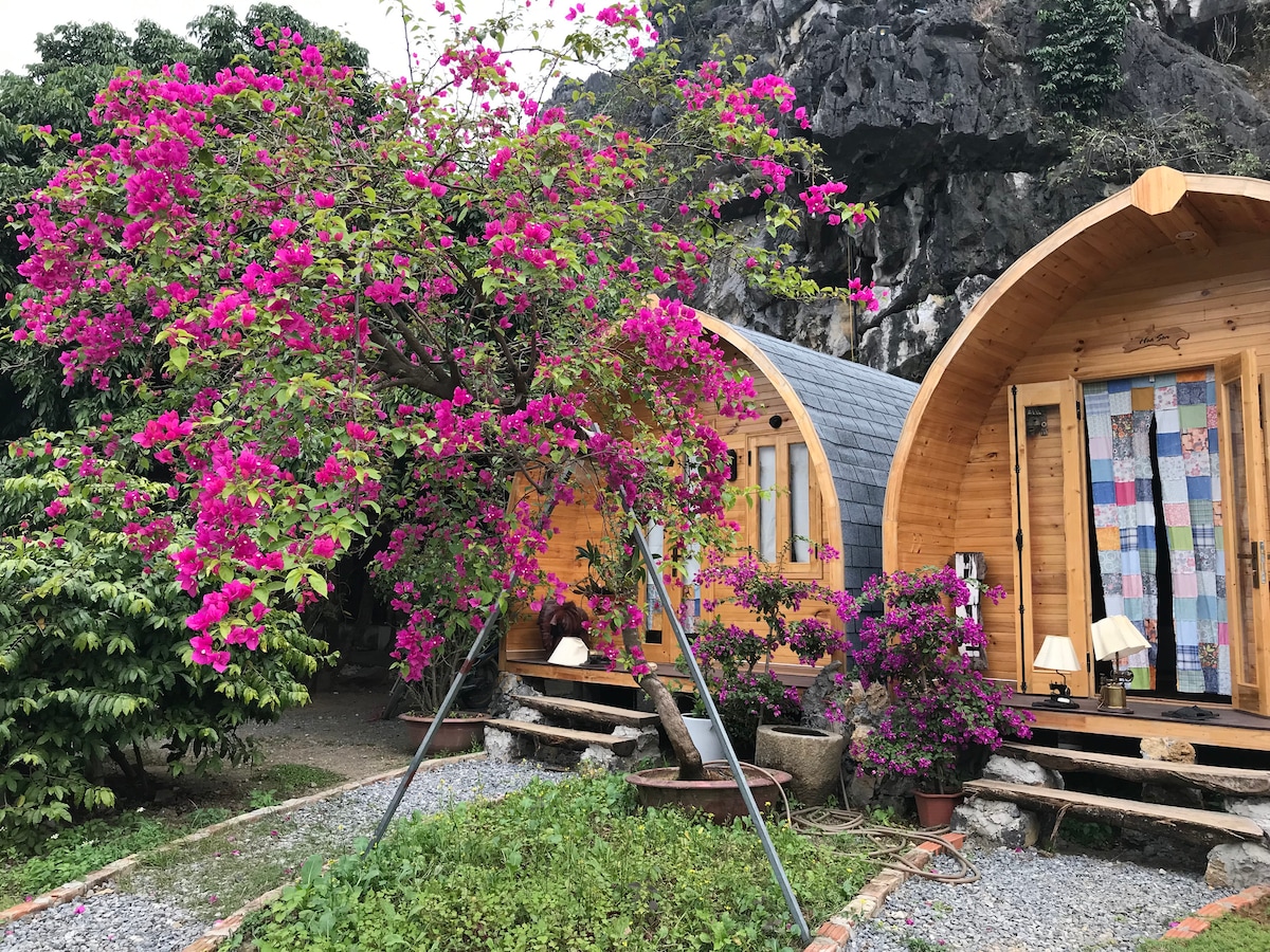 Two wooden cabins are nestled among vibrant pink bougainvillea, creating a serene setting. Each cabin features large glass doors that welcome natural light. A grassy area with gravel paths enhances the outdoor space, while lush greenery and stone accents provide a natural backdrop.