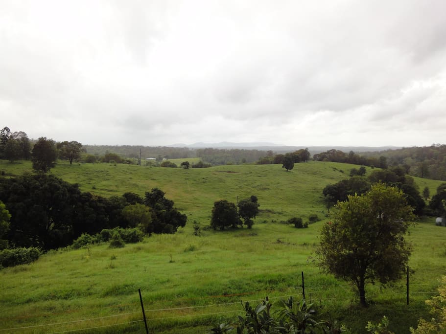 Land surrounding the cottage