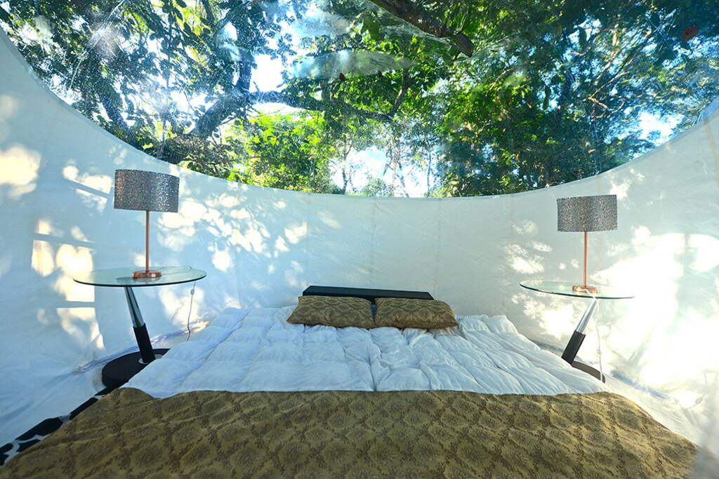 INSIDE VIEW OF THE BUBBLE TENT