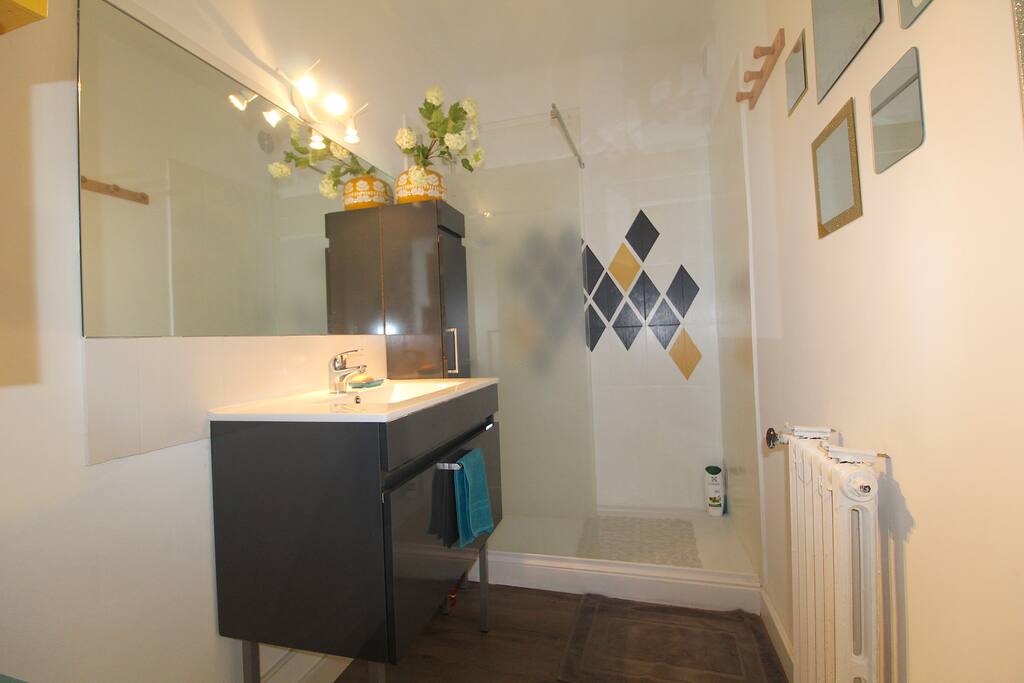 Salle de bain / bathroom