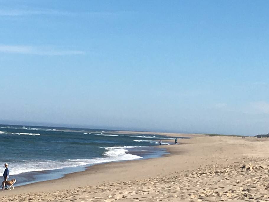 Coast Guard Beach