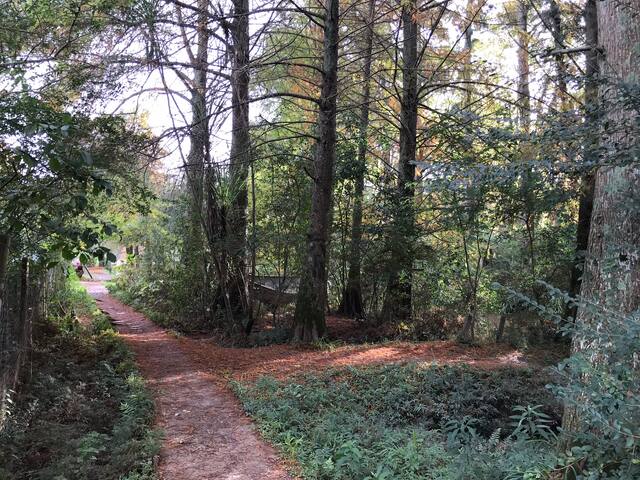 Get Catifes cabana de platja For iPhone Free Catifes Cabana De Platja