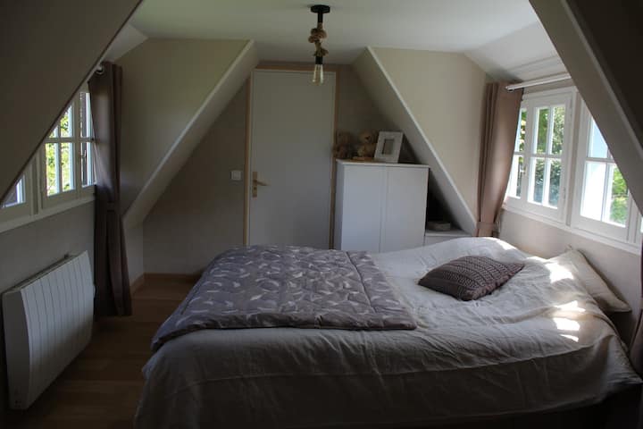 Habitación 1