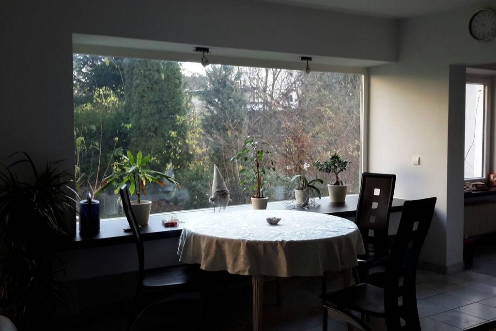 Essbereich mit toller Aussicht in den Garten