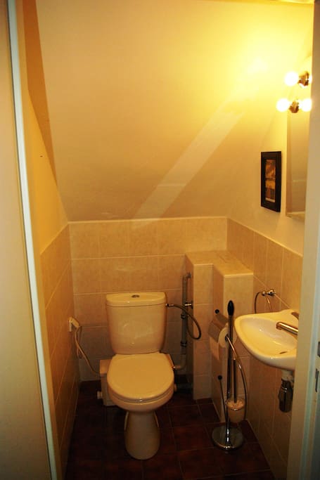 The toilet next to the bedroom