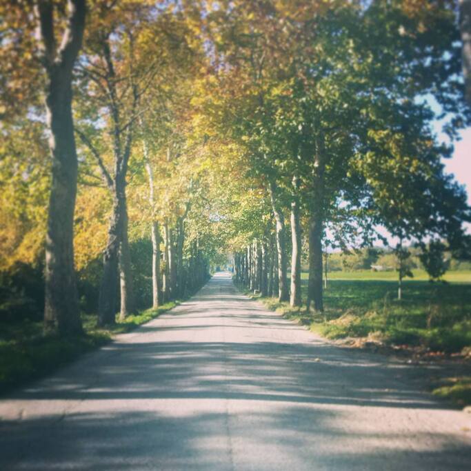 Il viale per la fermata dell'autobus