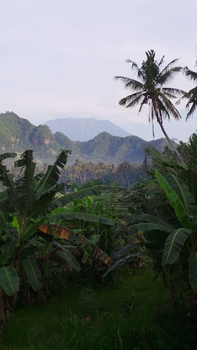 Mount Agung viewpoint; a only a 10-minute walk away.