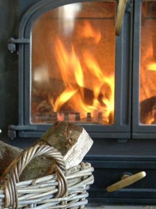 We supply Logs & fuel for the wood burner