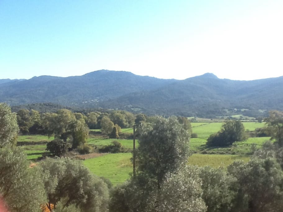vue depuis terrasse