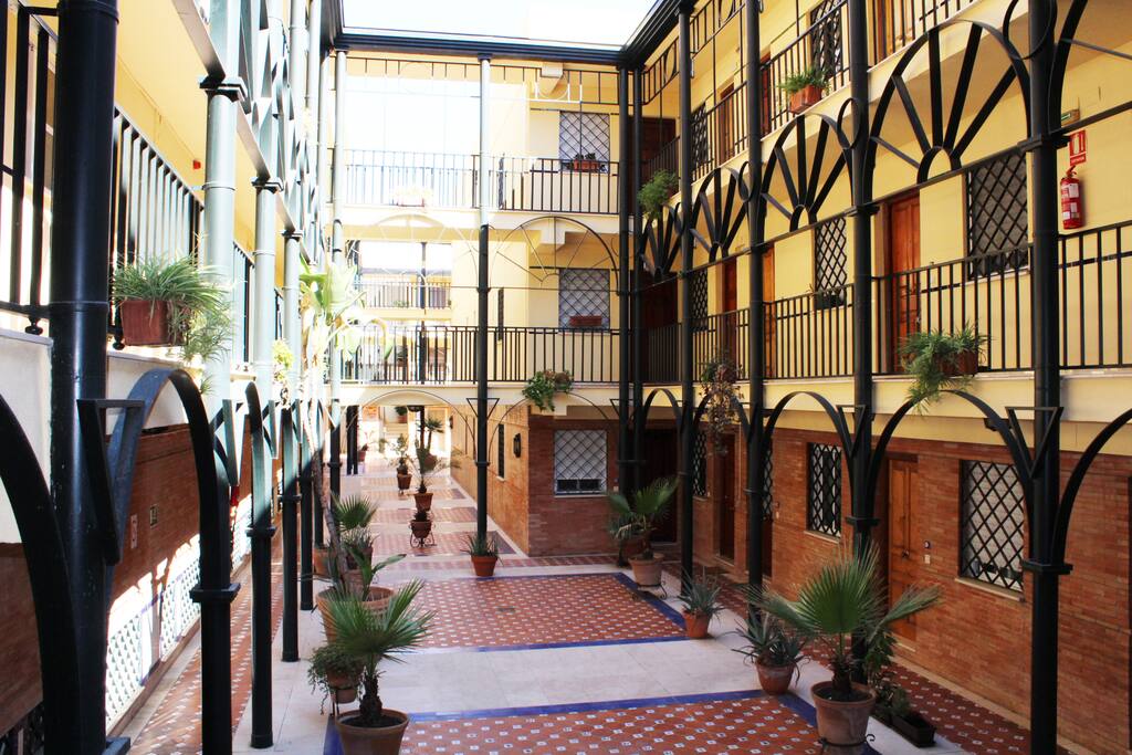 Neighbor's yard // Patio de vecinos