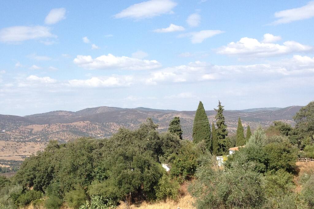 View from the balcony