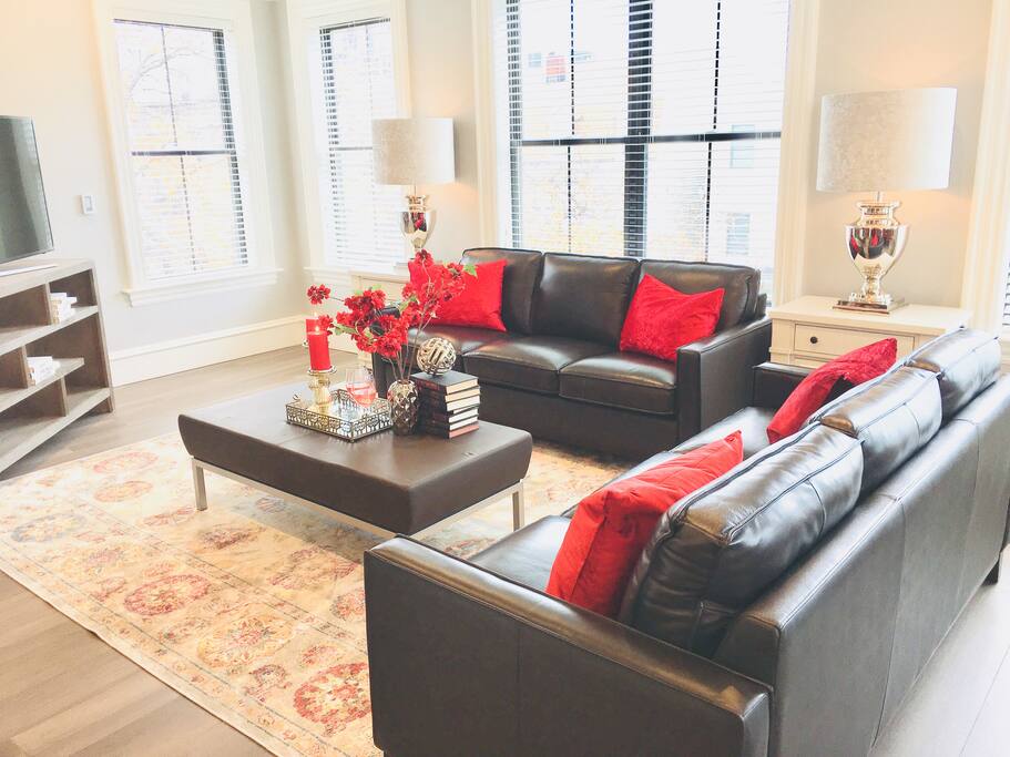 Two queen size sofa beds with Tempurepedic mattresses and dust free hypoallergenic pillows